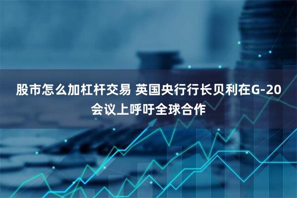 股市怎么加杠杆交易 英国央行行长贝利在G-20会议上呼吁全球合作