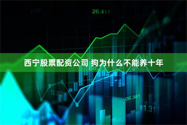 西宁股票配资公司 狗为什么不能养十年