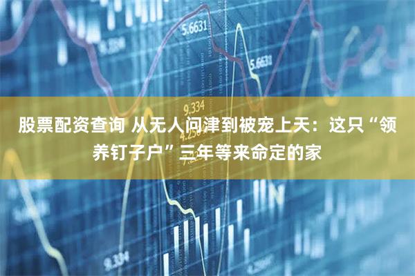 股票配资查询 从无人问津到被宠上天：这只“领养钉子户”三年等来命定的家
