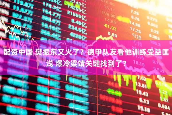 配资中国 樊振东又火了？德甲队友看他训练受益匪浅 爆冷梁靖关键找到了？