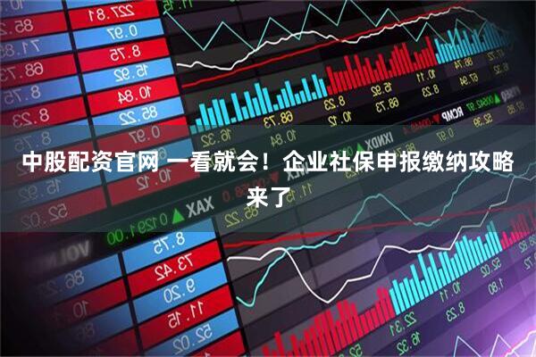 中股配资官网 一看就会！企业社保申报缴纳攻略来了