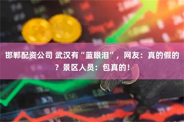 邯郸配资公司 武汉有“蓝眼泪”，网友：真的假的？景区人员：包真的！